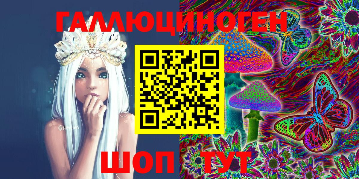 Галлюциногенные грибы Psilocybe Курчалой
