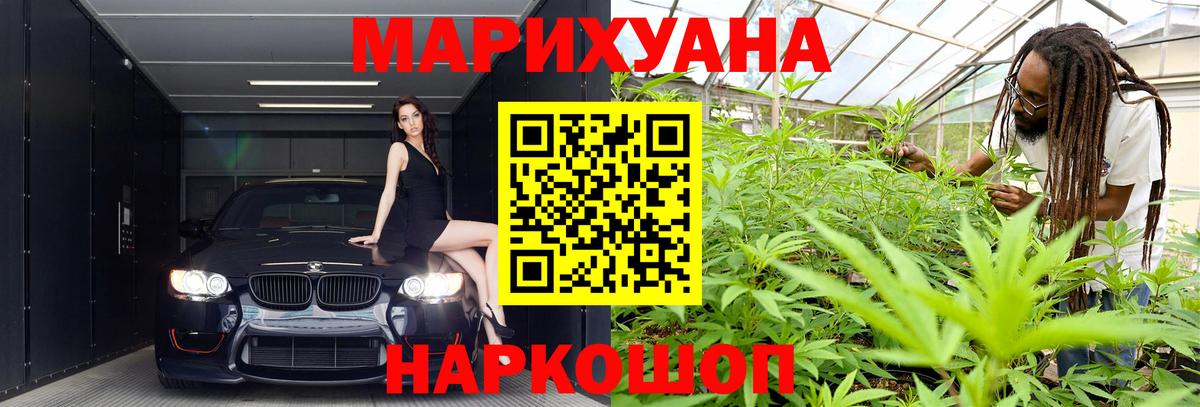 Бошки марихуана план Курчалой